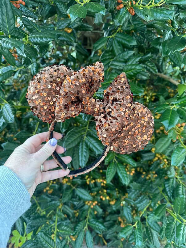 Brown Confetti Ears - Dreaming of Magic Designs