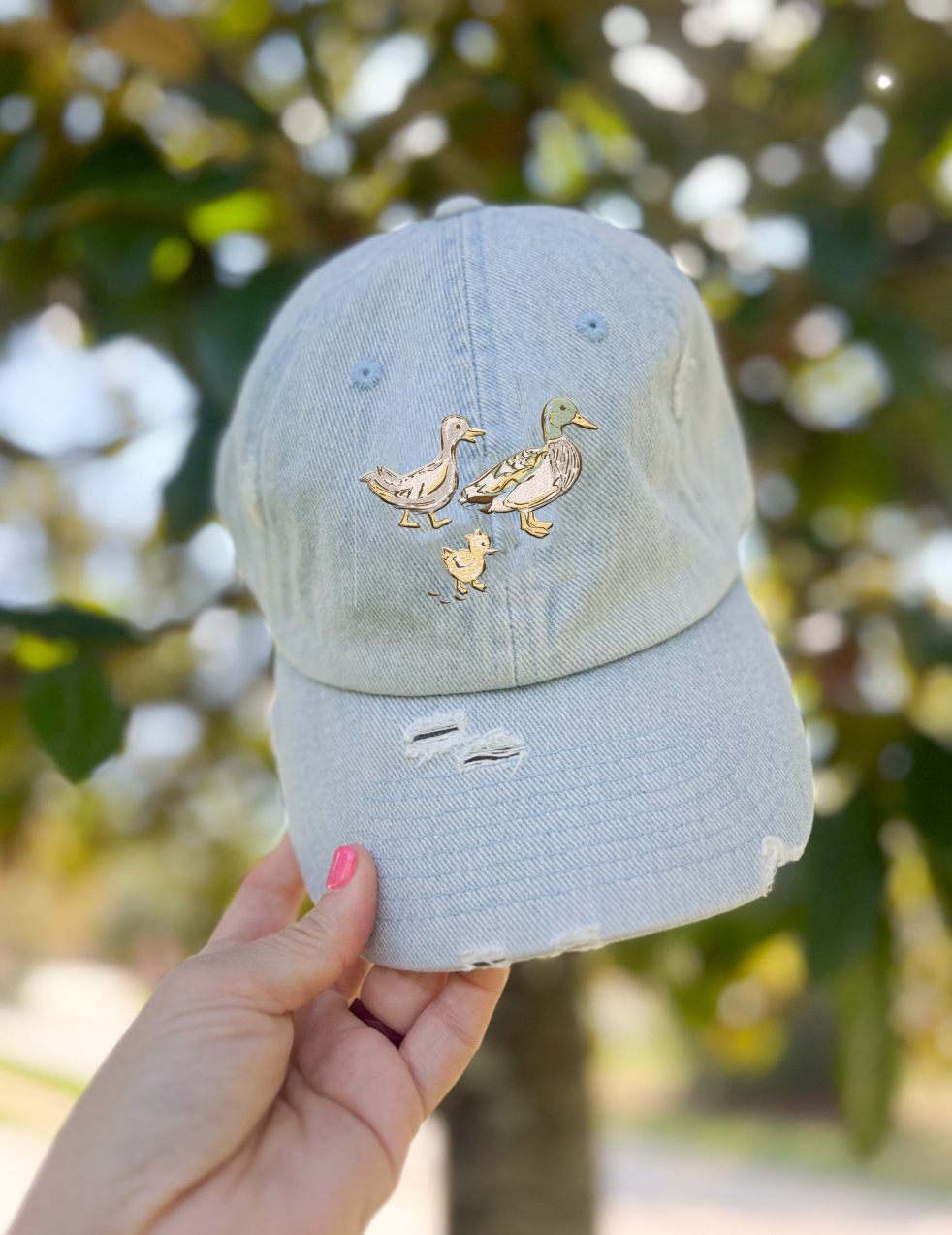Main Street Ducks Hat