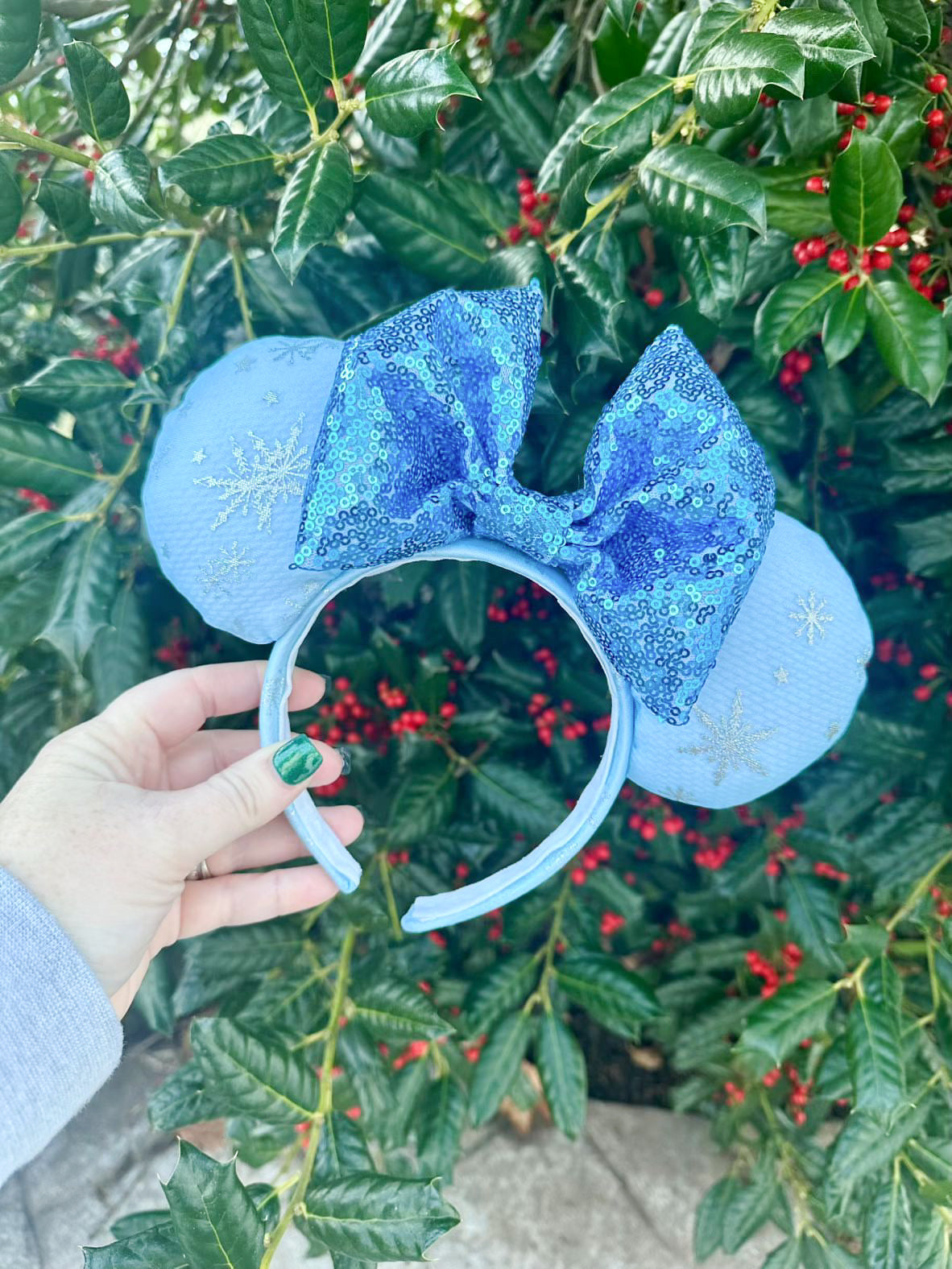 Winter Snowflake Ears - Dreaming of Magic Designs