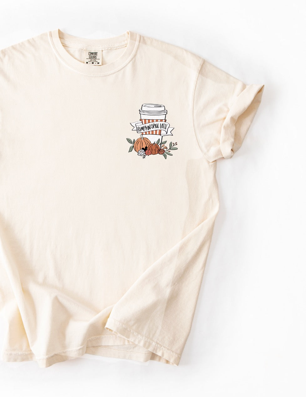 Pumpkin Spice Embroidered Tee - Ivory - 3X